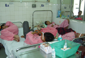 20120810_terakawa_1.jpg