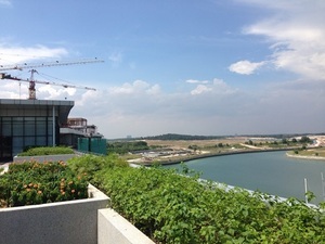 20141230_onishi_3.jpg