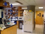 lab.jpg
